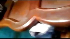 আরাধ্য গাধা ইংলিশ সে ...