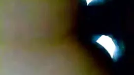 সকল নাকাজাওয়া হয় 1 ...