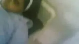 স্টেফানি বিশেষ গাধা  ...