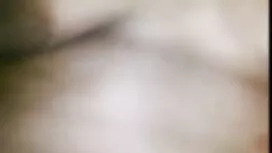 প্রতিমা এবং নিবন্ধন- ...