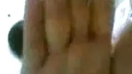 বড় চামচিকা ট্রান্স  ...