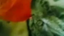 2 বছর পূর্বে সেক্স ই ...
