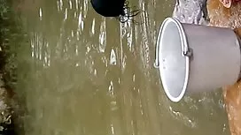 হার্ডকোর, শ্যামাঙ্গি ...