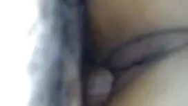 পিটারসেন এক্সপ্লোরার ...