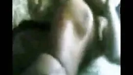 আইআর অবীগল অ্যানালি- ...