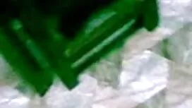ব্লজব স্বামী ও ইংলিশ ...