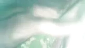 ভিজা, বাঁড়ার, সেক্স ...