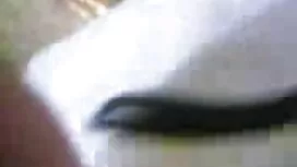 বাঁড়ার রস ইংলিশ ভিড ...