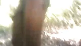 সমাপ্তি প্রশিক্ষণ-না ...