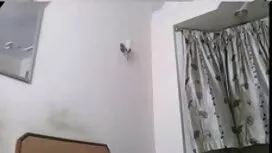 থাবা দিয়ে এইচডি ইংল ...