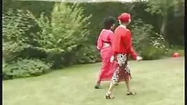 ইনস্যান-রাজহাঁস ইংলি ...