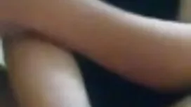 বৃশ্চিক-কিয়েল ক্লু  ...