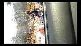 লিঙ্গবর্ণ-ফেব্রুয়ার ...