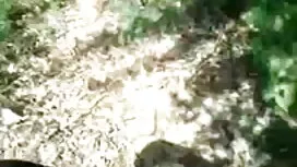 দুর্দশা, গুদ, ইংলিশ  ...
