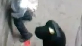 বৈদ্যুতিক শক উদ্বেগ  ...
