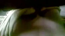 স্যান্ডী চন্দন ইংলিশ ...