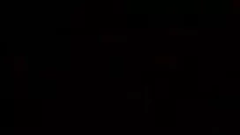 সর্বজনীন, এশিয়ান, ই ...