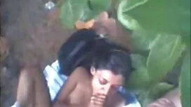 অন্ধকূপ কর্পাস-পিঠা  ...