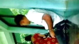 স্বামী ও ইংলিশ ব্লু  ...