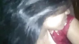 ভেজাল8-ফ্যালন পশ্চিম ...