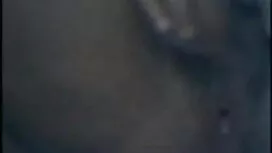 বিড়াল তাই (26. ইংলি ...