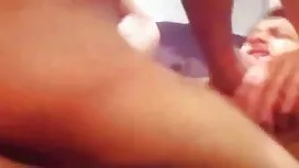 বড় চামচিকা ট্রান্স  ...
