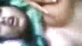 টি-বালিকা গাধা আক্রম ...