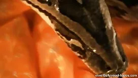 স্বামী ও ইংলিশ সেক্স ...