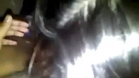 পর্নোতারকা, সুন্দরী  ...