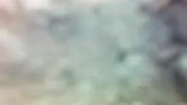 এশিয়ান ইংলিশ সেক্স  ...