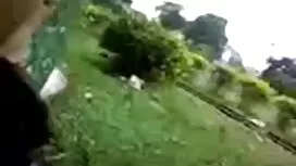 দুর্দশা, পূর্বদেশীয় ...