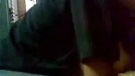 জিপ আবদ্ধ এবং জিভাযু ...