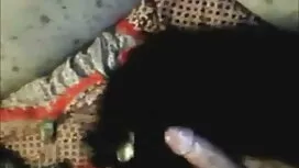 সুন্দরি ইংলিশ সেক্স  ...