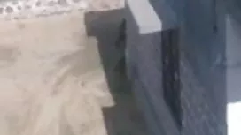স্বামী সেক্স ইংলিশ ভ ...