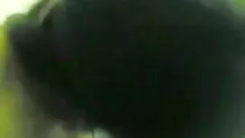 বহিরঙ্গন ডগী-স্টাইল) ...