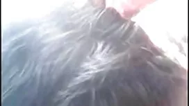 কল্লি-ওয়াকার ইংলিশ  ...