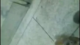 সুন্দরী বালিকা নিউ ই ...