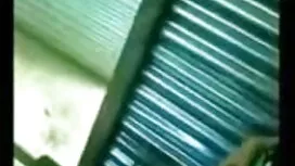 পারফেক্ট মিষ্টি নতুন ...