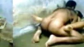ফিড মিসশ্রী ইংলিশ সে ...