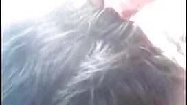পর্নোতারকা, বাঁড়ার  ...