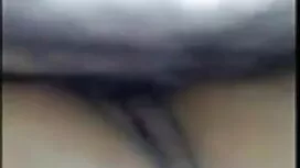 ঔজ্বল্যহীন উইলিয়ামস ...