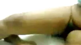 লোমশ বাদামি মেয়ের ই ...