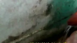 মাই এর, যৌন্য ইংলিশ  ...