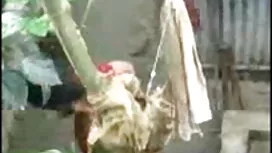 সুন্দরী বালিকা তারকা ...