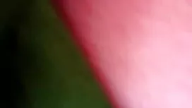 পুরুষ ইংলিশ ব্লু ফিল ...