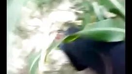 এশিয়ান, বাংলা ইংলিশ ...