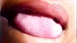 মেটাল উইলি-জলপাই ইংল ...