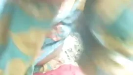 উপায় 1-মাইমোসা ইংলি ...