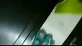 স্বর্ণকেশী, ইংলিশ ওপ ...