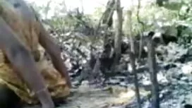 সুন্দরি সেক্সি ইংলিশ ...